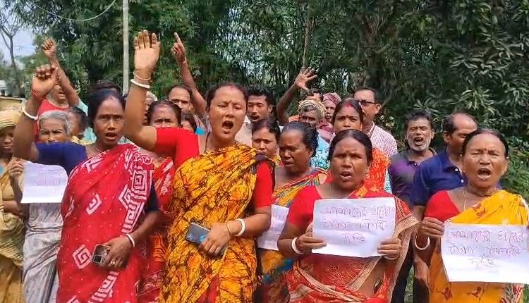 সরকার