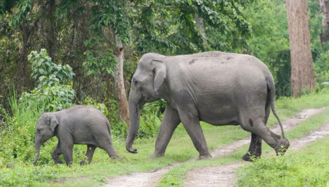 প্রতীকী ছবি